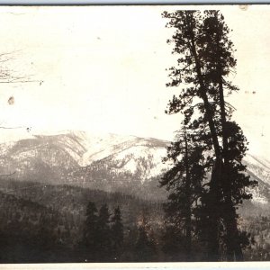 c1920s Mount San Gorgonio, CA RPPC Bernardino Mountains Real Photo Postcard A94