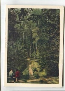 473721 USSR 1956 Abramtsevo alley in park photo Alpert circulation 35000 Izogiz