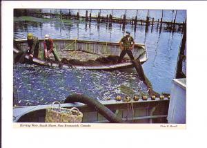 Herring Weir, South Shore Sussex, New Brunswick, Photo Morrell