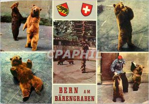 Modern Postcard Bern Am Barengraben The Bear Pit