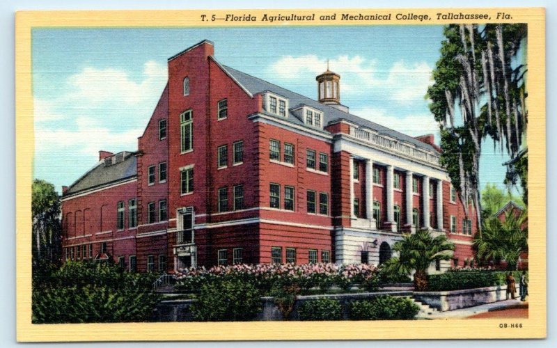 FLORIDA AGRICULTURAL & MECHANICAL COLLEGE, Tallahassee FL ~ c1940s  Postcard
