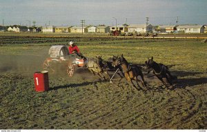 SASKATOON , Saskatchewan , Canada , 1950-60s; Pony Chuck Wagon Racing