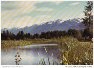 Canada Columbia River Sloughs Springtime At Golden British Columbia