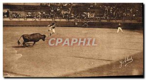 Old Postcard Bullfight Bullfight Races Landes Retractor jumping cow