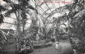 uk14666 tower roof gardens  blackpool real photo uk