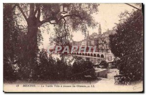 Old Postcard Menton Old Town through the Olives