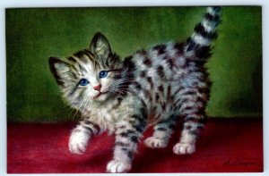 FLUFFY TABBY KITTEN CAT Artist Signed A. LAMPE Stehli Switzerland Postcard