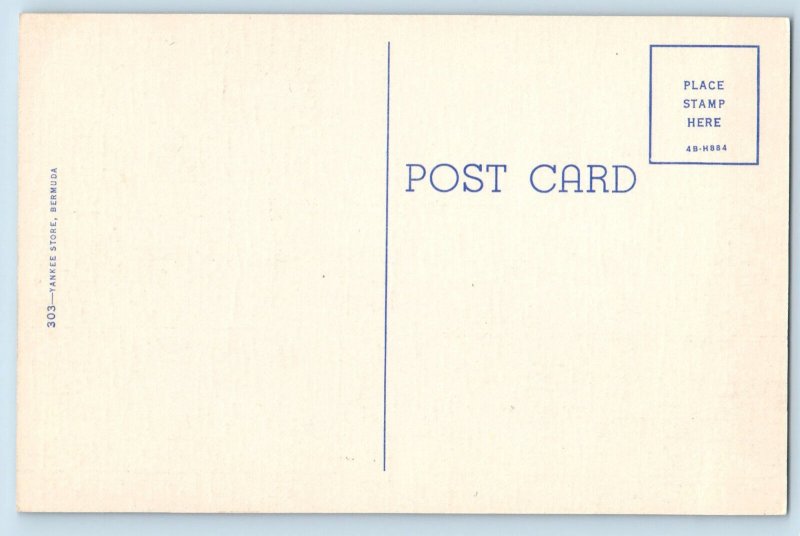 Bermuda Postcard Harrington Sound Road Narrow Road c1940's Vintage Unposted