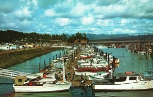 Mooring Basin Berths Over 700 Craft W/ Boat Launching Ilwaco Washington Postcard