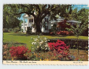 Postcard Orton Plantation, The South's most famous, Winnabow, North Carolina