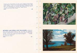 Finger Lakes Region of New York - Booklet of 10 mini photos