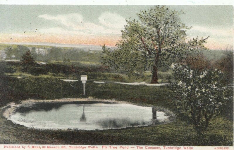 Kent Postcard - Fir Tree Pond - The Common - Tunbridge Wells - Ref ZZ3908