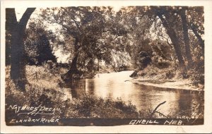 Real Photo Postcard Natures Dream Elkhart River in O'Neill, Nebraska
