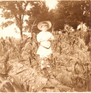RPPC Adorable Child In  Field of Corn Happy New Year 1910 Postcard L17