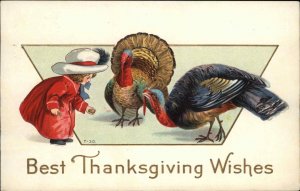 Thanksgiving Little Girl Feeds Turkeys c1910 Vintage Postcard