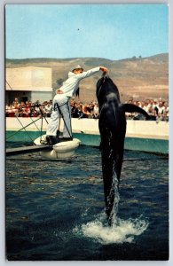 California~Bubbles The Pilot Whale @ Marineland Of The Pacific~Vintage PC