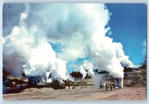 Taupo Waikato NZ Postcard Steam Bores Wairakei Geothermal Power c1950's