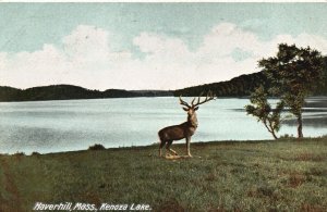 Vintage Postcard Kenoza Lake Deer & Mountains Haverhill Massachusetts Hugh C.L.