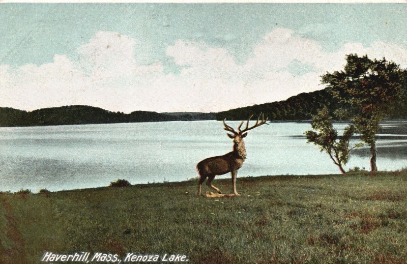 Vintage Postcard Kenoza Lake Deer & Mountains Haverhill Massachusetts Hugh C.L.