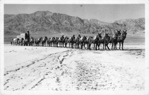 RPPC Borax Mule Team Wagon Death Valley, CA Desert c1940s Vintage Postcard