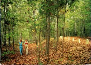 Mississippi Natchez Trace Parkway Confederate Gravesites Trail 1996