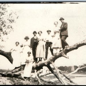 c1910s Outdoor Group People RPPC Women Men Classy Dead Tree Branch Photo A255