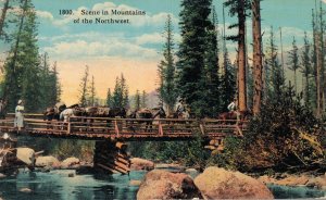 South Dakota Scene in Mountains of the Northwest   06.46
