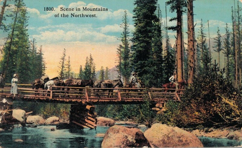 South Dakota Scene in Mountains of the Northwest   06.46