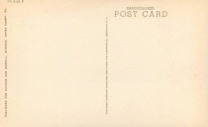 Delaware Claymont Naaman's Haydon's Albertype 1920s Postcard 22-9090