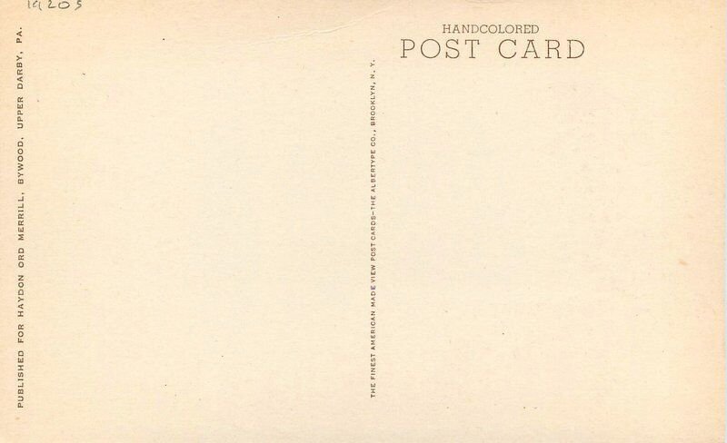 Delaware Claymont Naaman's Haydon's Albertype 1920s Postcard 22-9090