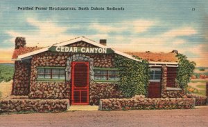 Vintage Postcard 1930's Petrified Forest Headquarters North Dakota Badlands ND