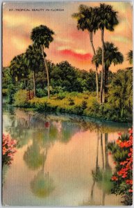 Miami Florida FL, 1940 Tropical Beauty, Lake View, Water Reflection, Postcard