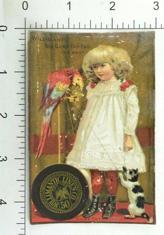 1881 Atlanta Expo. Willimantic Linen Co. Girl With Parrot & Playful Cat P111