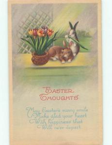 Pre-Linen Easter CUTE BUNNY RABBIT IN SUNLIGHT BESIDE POTTED FLOWERS AB3672