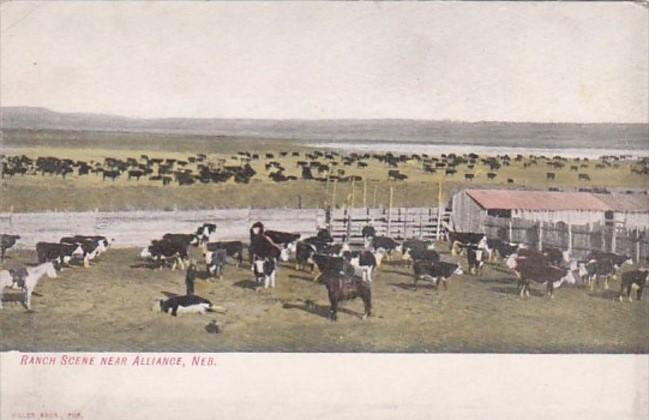 Nebraska Alliance Typical Ranch Scene