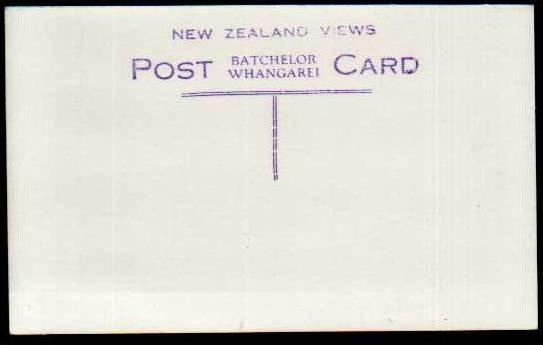 New Zealand, The Great Wairakei Geyser - Real Photo Postcard