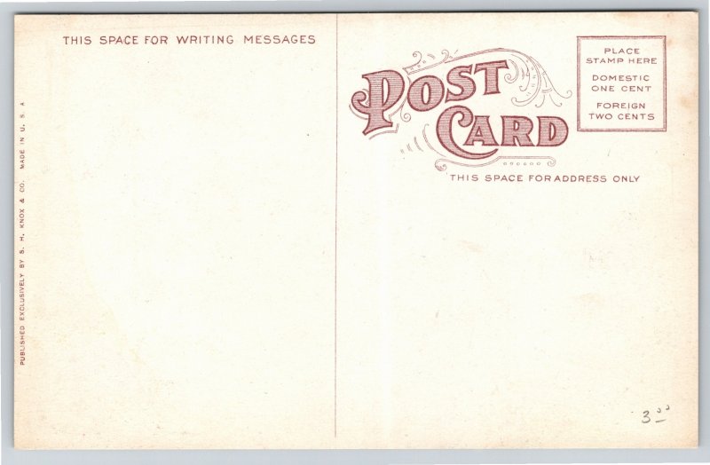 Parks~Stone Bridge Miller Park Bloomington Illinois~Vintage Postcard