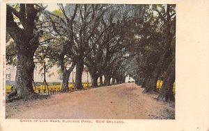 Audubon Park Grove of Live Oaks - New Orleans, Louisiana LA  