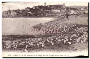 Old Postcard Cannes The Seagulls on the Beach