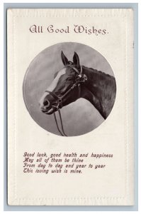All Good Wishes Horse Good Luck Postcard Saxony Germany Series 1577 Gel