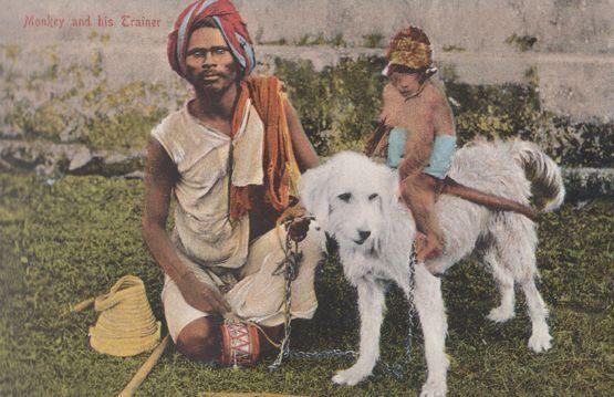 Indian Monkey Riding A Dog & His Trainer Antique Postcard