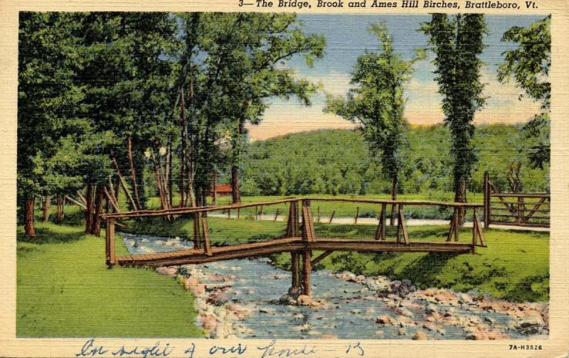 VT - Brattleboro. The Bridge, Brook and Ames Hill Birches