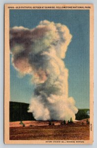 Haynes Photo   Old Faithful Geyser   Yellowstone Wyoming   Postcard