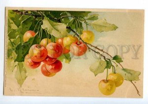 497558 Catherine KLEIN Sweet CHERRY on Tree Vintage postcard Meissner #1309