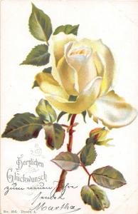 BG4272  herzlichen glückwunsch congratulations rose flower   germany  greetings