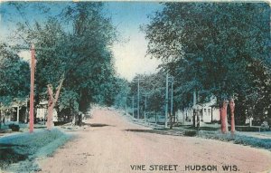 Crane Hudson Wisconsin Vine Street 1918 Postcard 20-6015