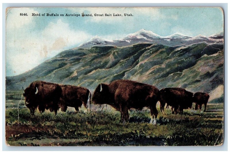 DPO (1917-1921) Great Salt Lake Utah UT Postcard Herd Of Buffalo Antelope Island