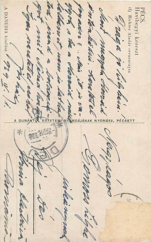 Hungary Pecs vintage artist signed Richter Aladar Danubia postcard Havihegyi 