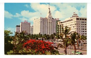 FL - Miami. Biscayne Boulevard from Bayfront Park ca 1950's