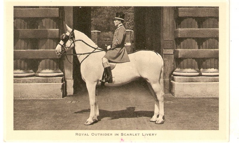 Royal Outrider in Scarlet Livery Tuck the royal Mews, Buckingham Palace Ser.